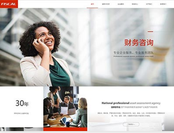 振安金融财务